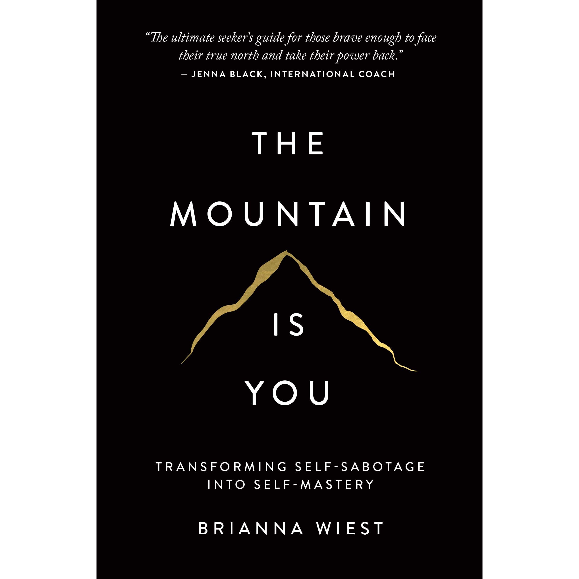 The mountain is you 1